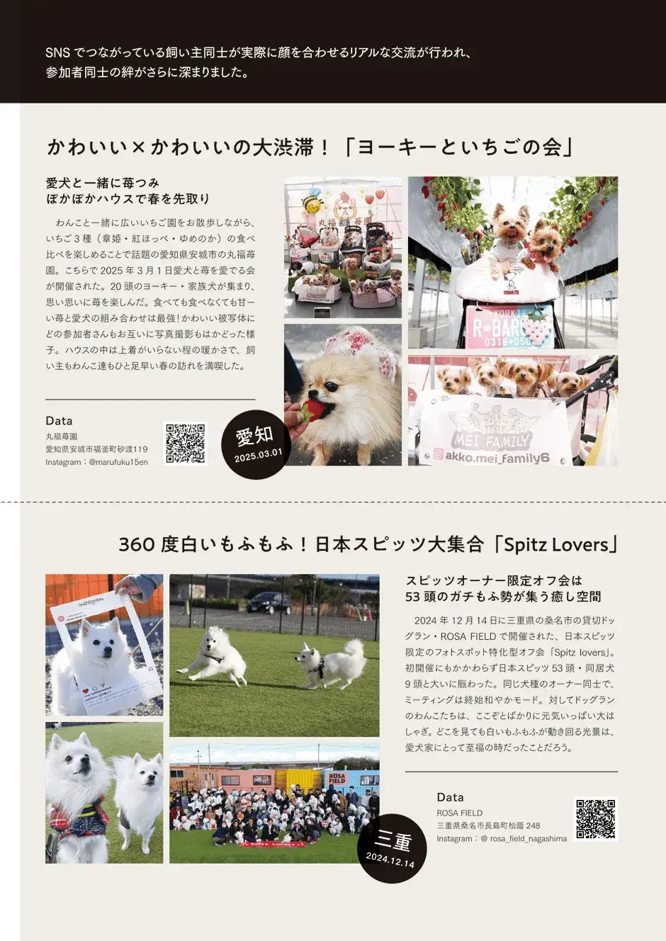 第8ページ
