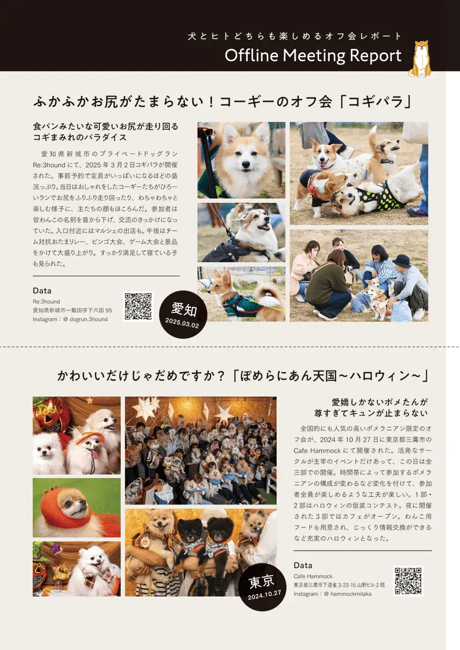 第7ページ