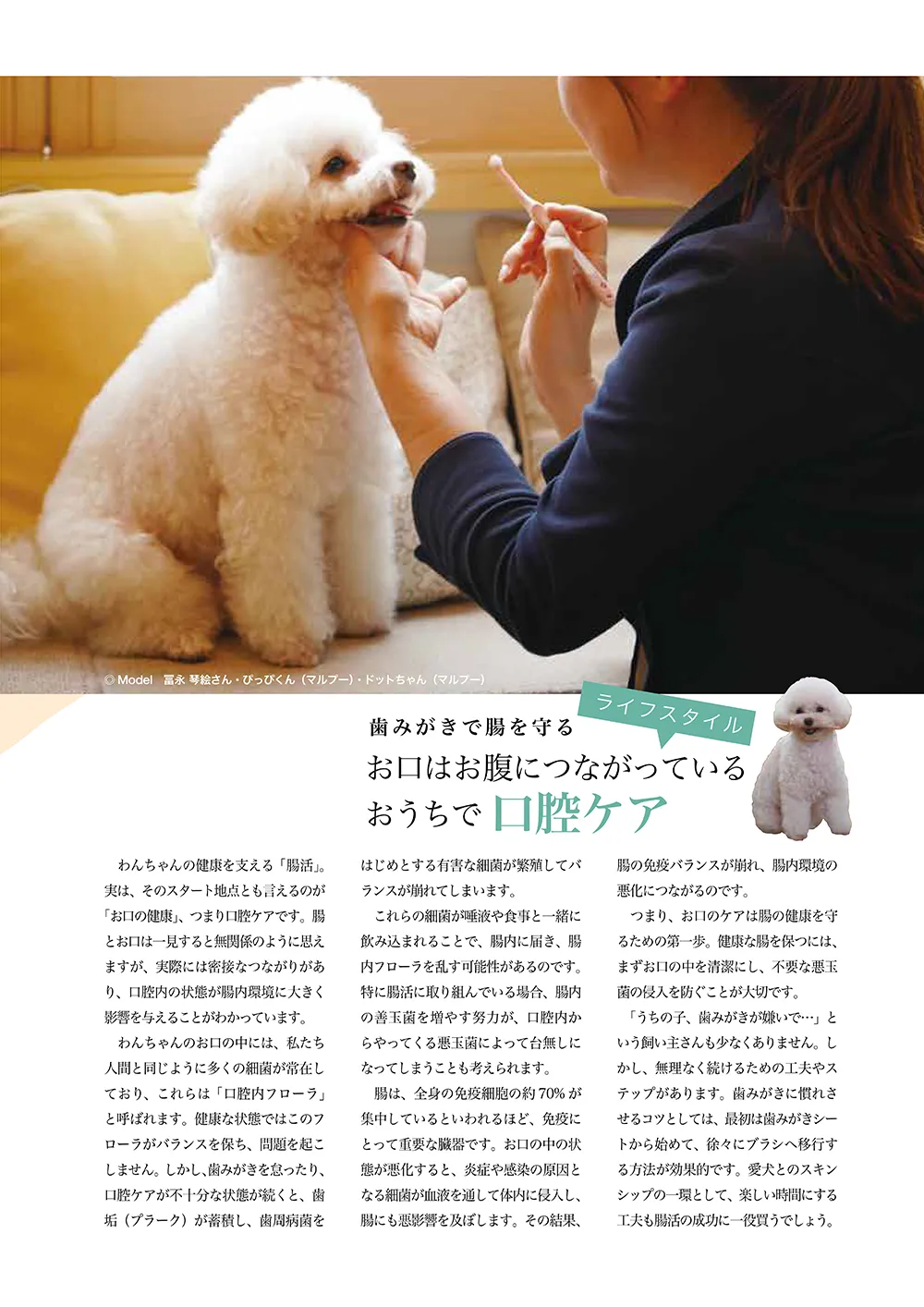 第1ページ