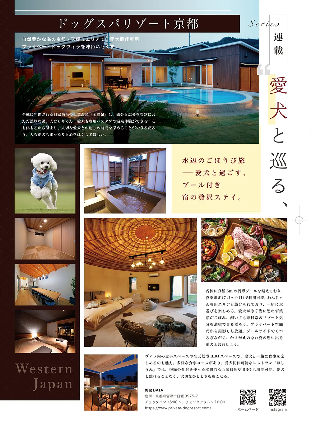 第4ページ