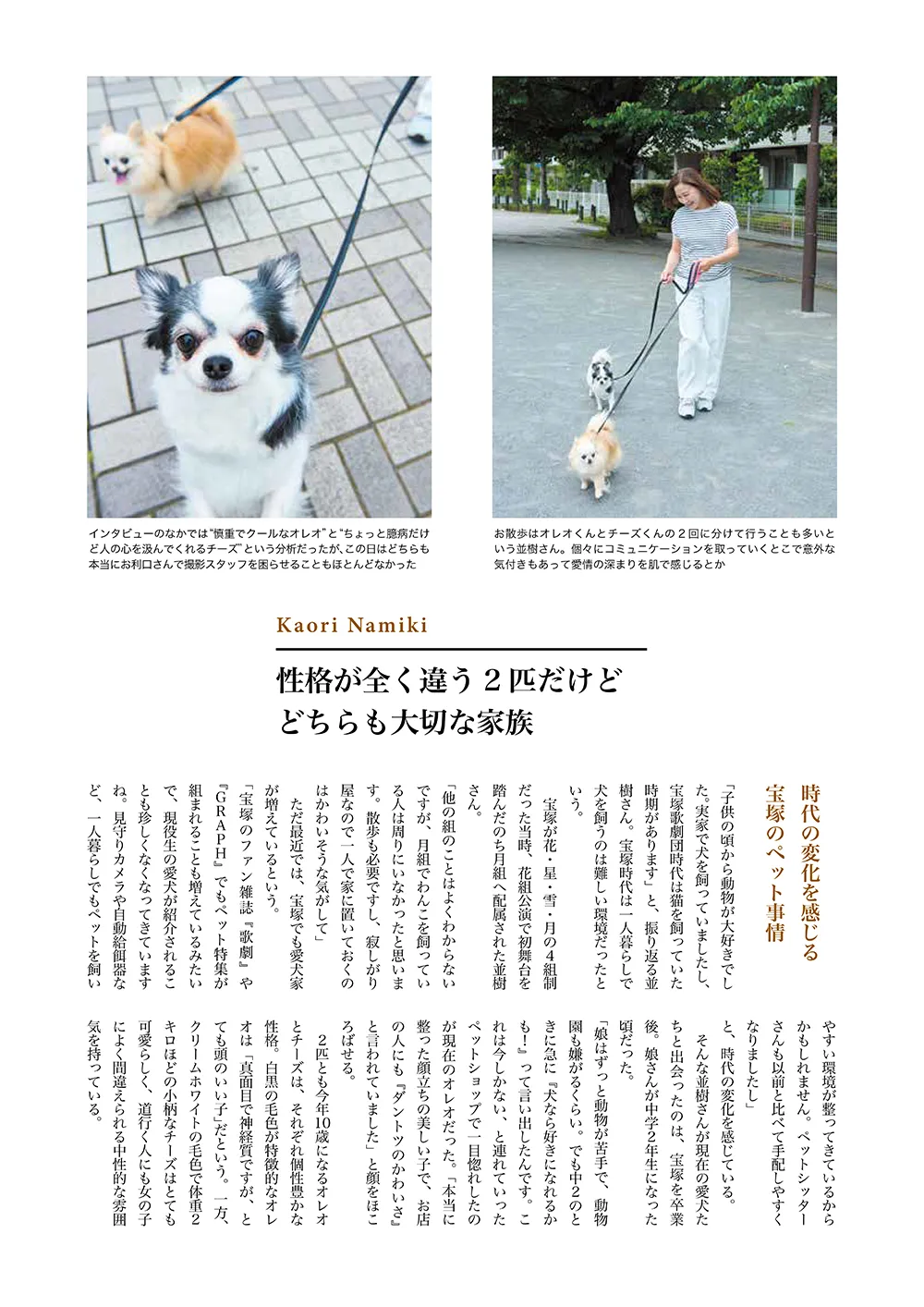 第6ページ