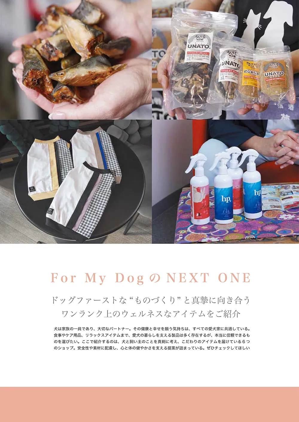 第7ページ