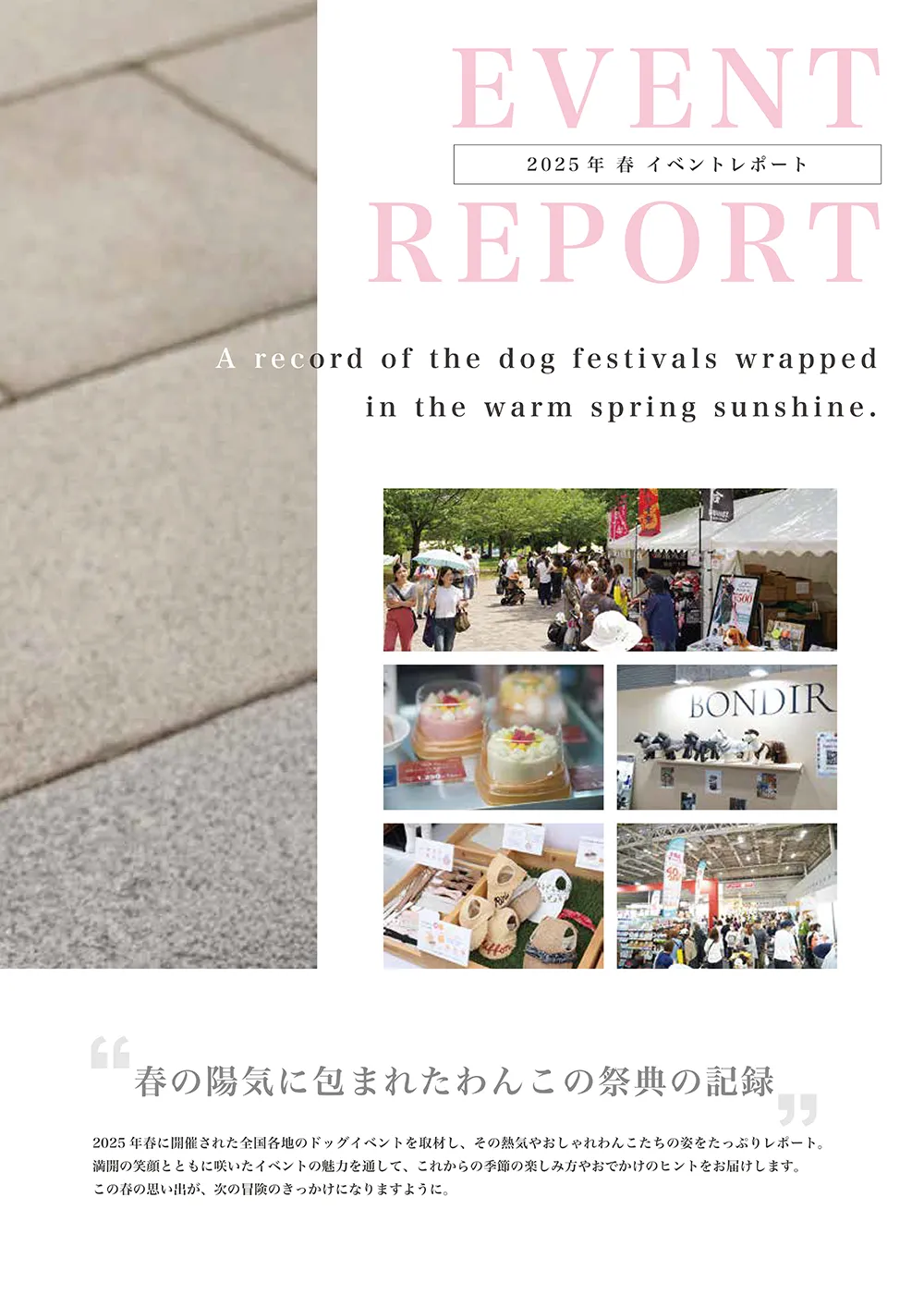 第3ページ