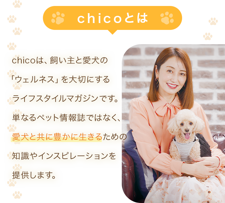 chicoは、飼い主と愛犬の「ウェルネス」を大切にするライフスタイルマガジンです。単なるペット情報誌ではなく、愛犬と共に豊かに生きるための知識やインスピレーションを提供します。