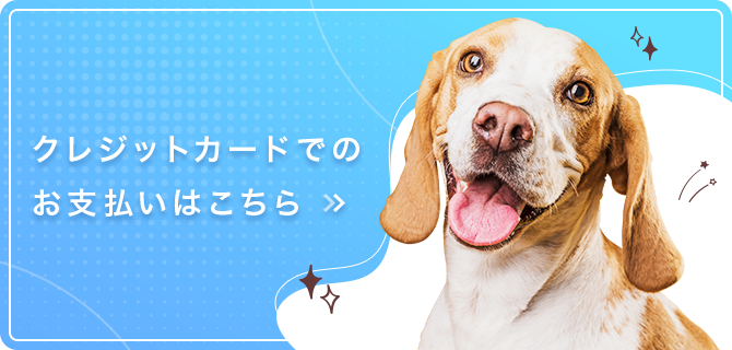 クレジットカードでの お支払いはこちら