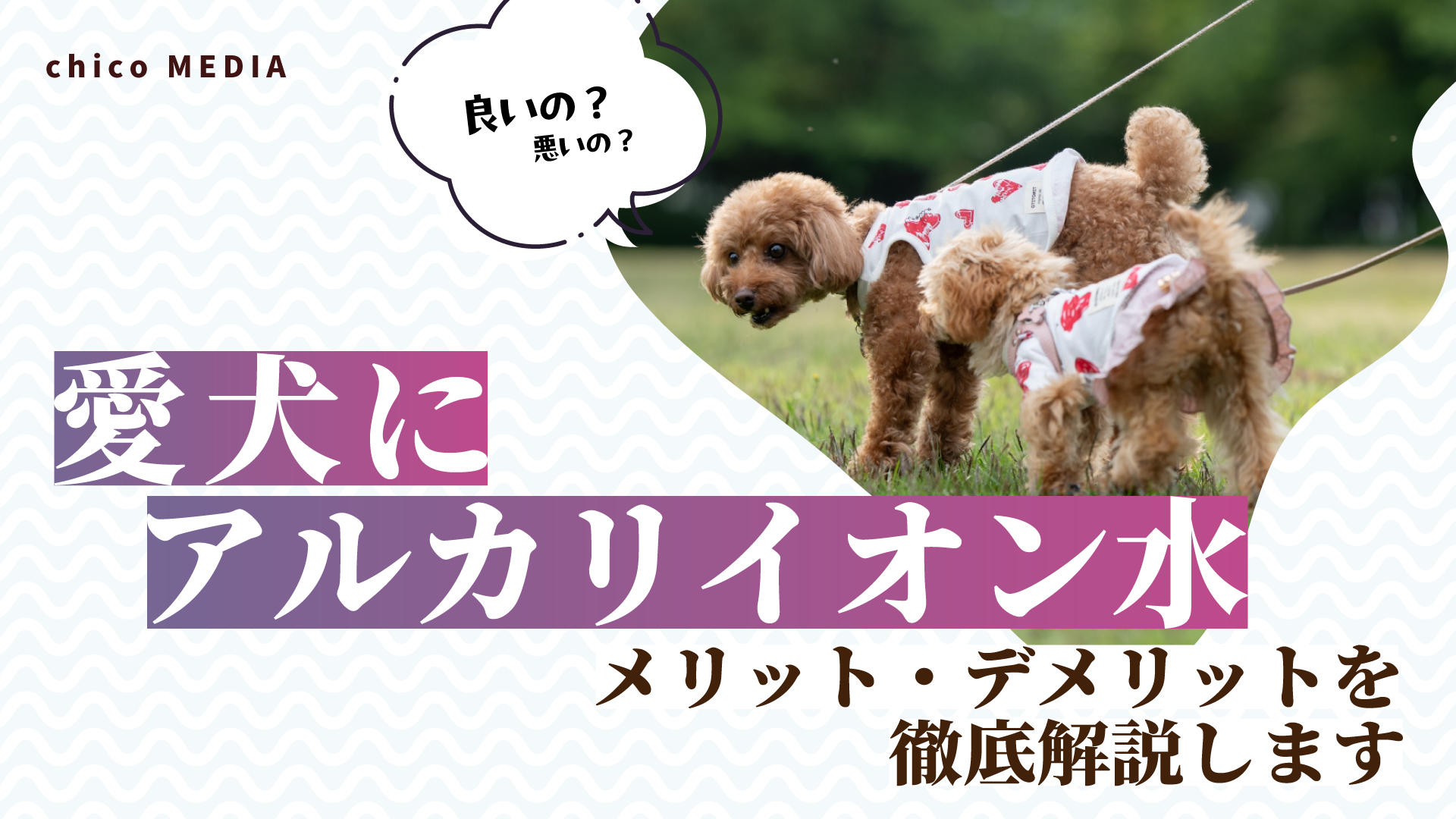【愛犬にアルカリイオン水】良いの？悪いの？メリット・デメリットを徹底解説します