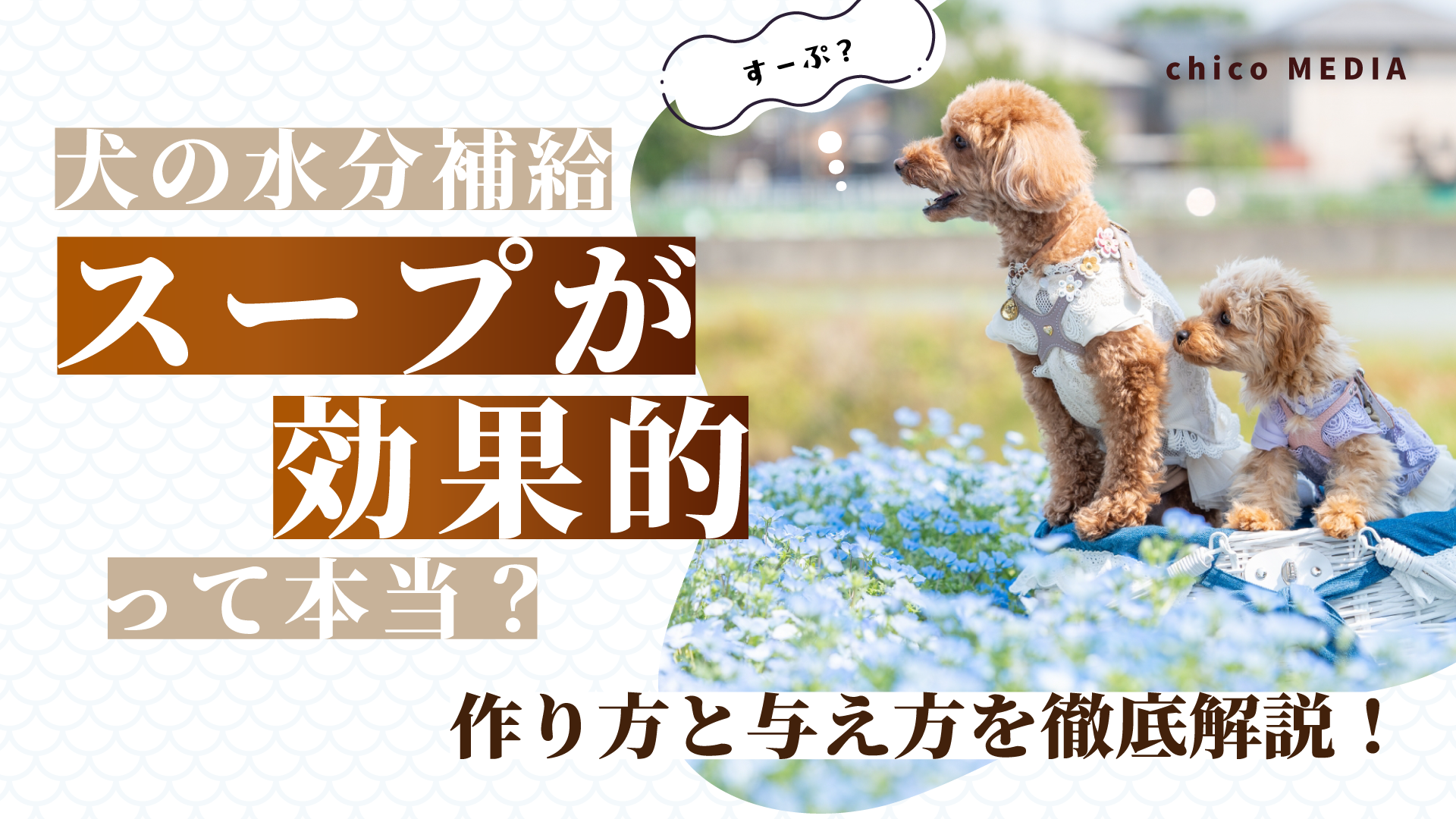 【犬の水分補給】スープが効果的って本当？作り方と与え方を徹底解説！