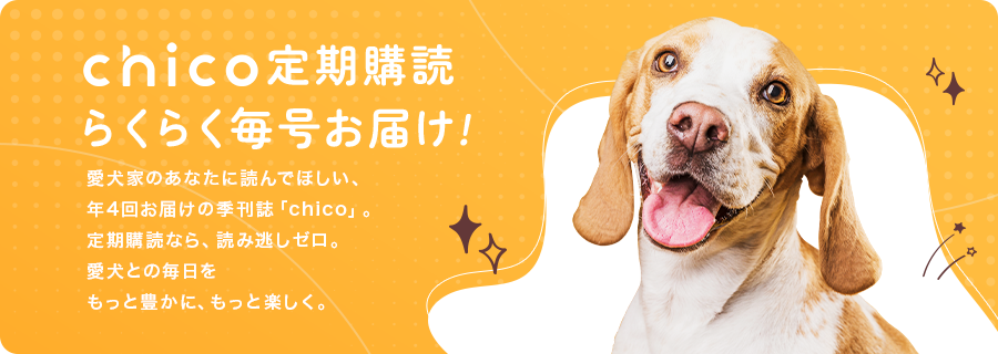 chico定期購読らくらく毎号お届け! 愛犬家のあなたに読んでほしい、年4回お届けの季刊誌「chico」。定期購読」なら、読み逃しゼロ。愛犬との毎日をもっと豊かに、もっと楽しく。