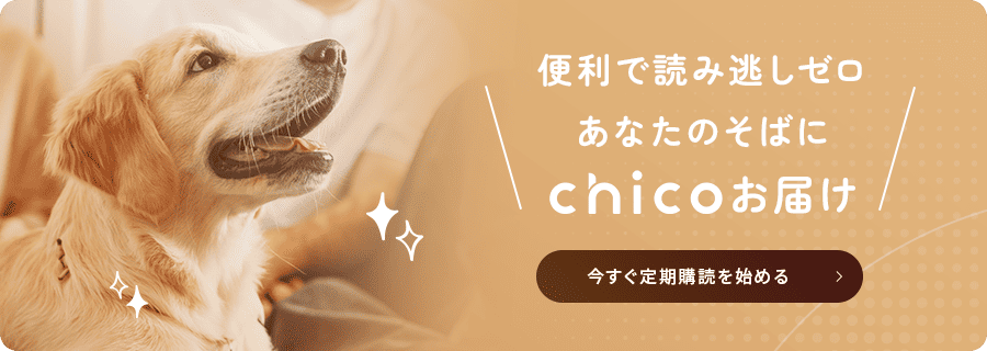 便利で読み逃しゼロあなたのそばにchicoお届け